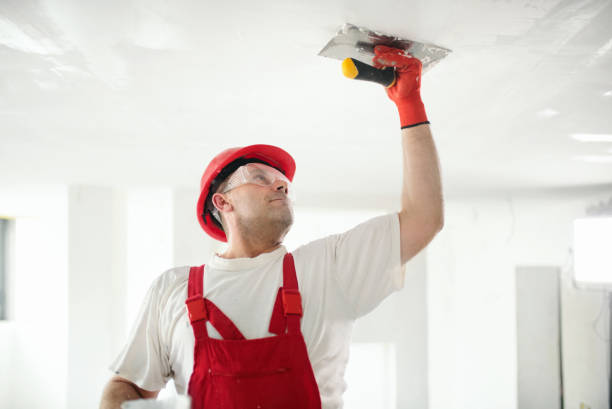 Best Ceiling Drywall Installation  in Panther Valley, NJ